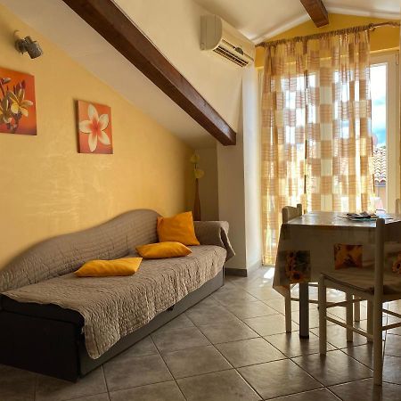 Apartments Tajana Novigrad  Luaran gambar
