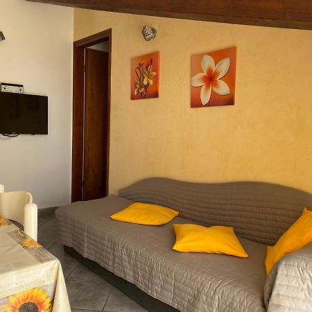 Apartments Tajana Novigrad  Luaran gambar