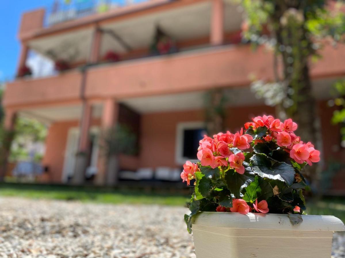 Apartments Tajana Novigrad  Luaran gambar