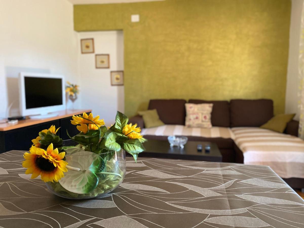 Apartments Tajana Novigrad  Luaran gambar