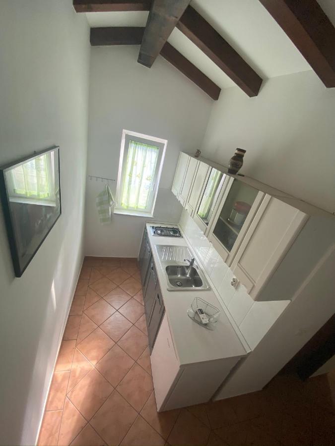 Apartments Tajana Novigrad  Luaran gambar