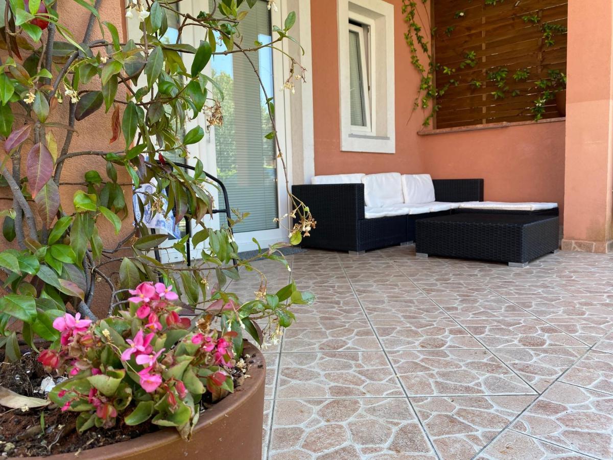 Apartments Tajana Novigrad  Luaran gambar