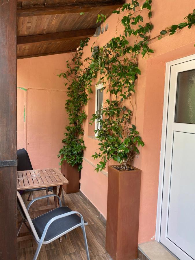 Apartments Tajana Novigrad  Luaran gambar