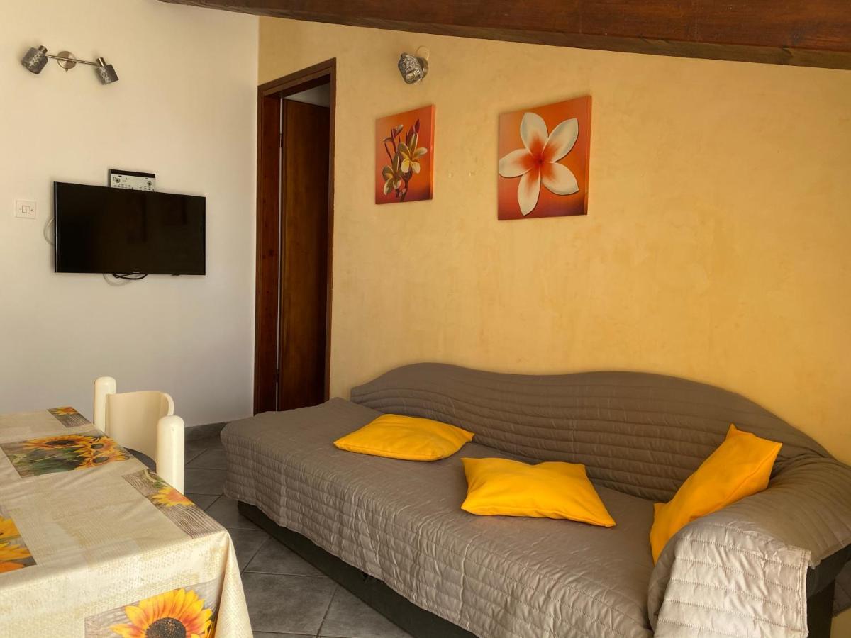 Apartments Tajana Novigrad  Luaran gambar