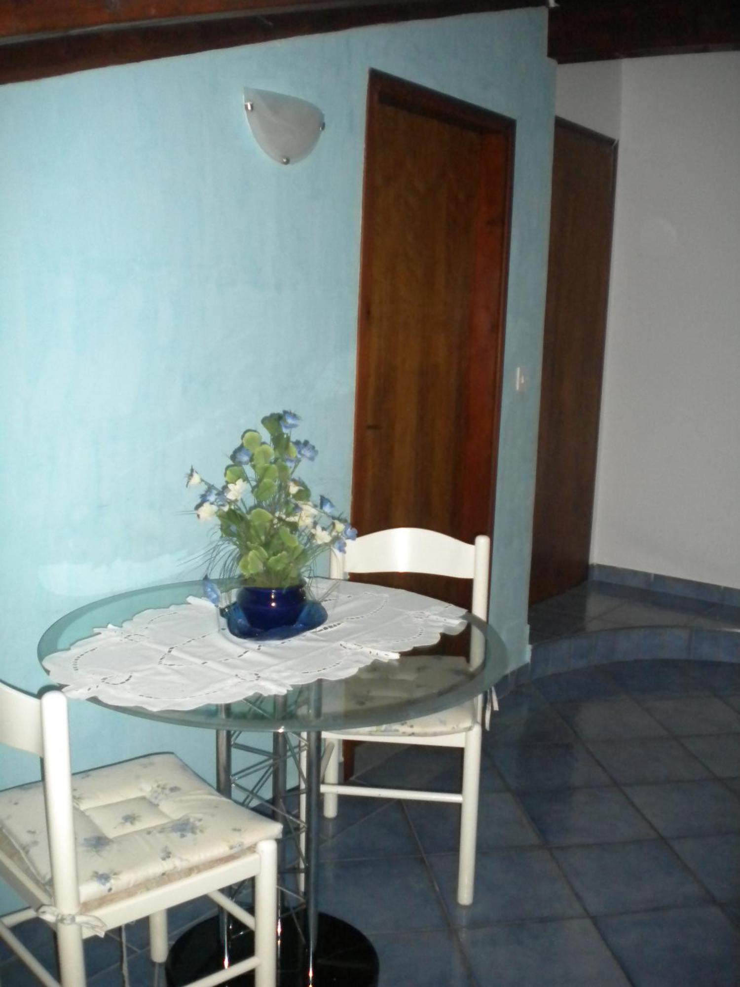Apartments Tajana Novigrad  Bilik gambar