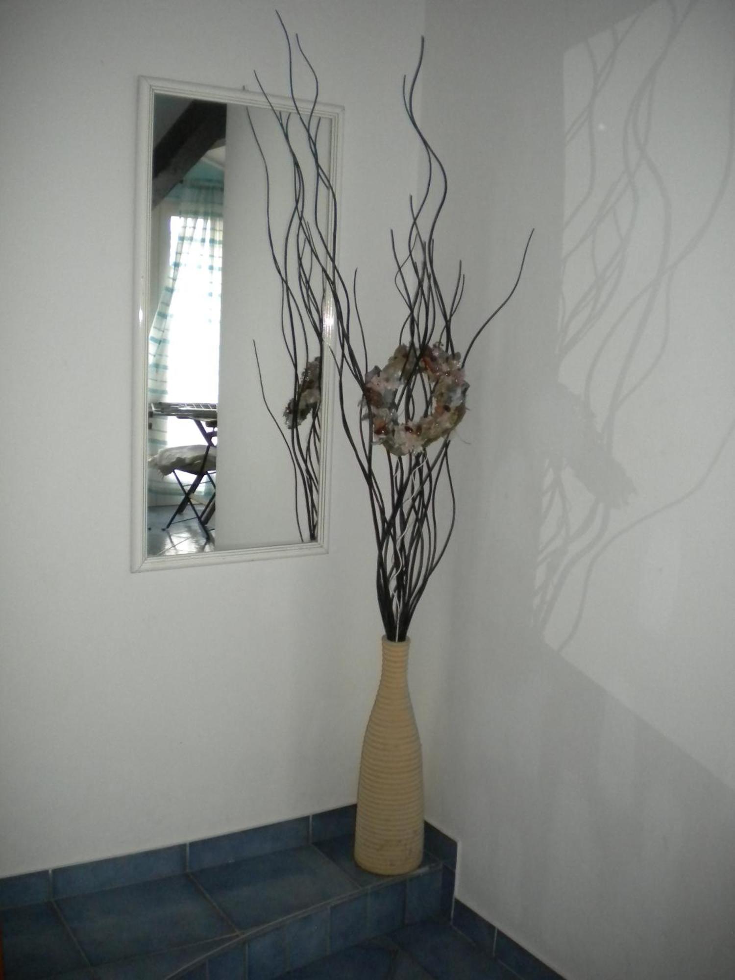 Apartments Tajana Novigrad  Bilik gambar
