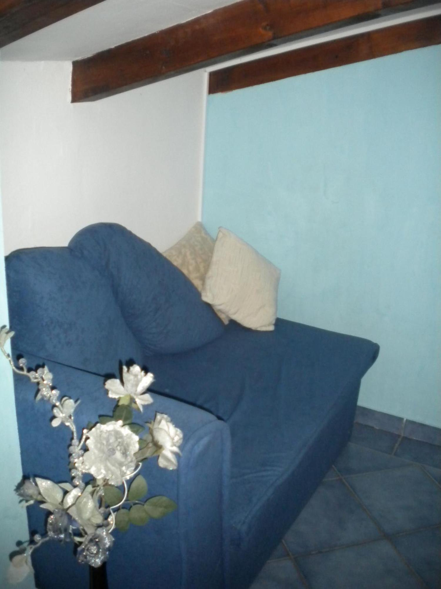 Apartments Tajana Novigrad  Bilik gambar