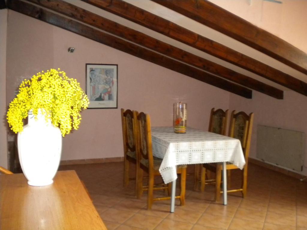Apartments Tajana Novigrad  Bilik gambar