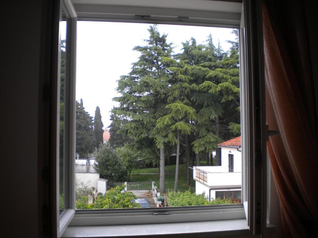 Apartments Tajana Novigrad  Bilik gambar