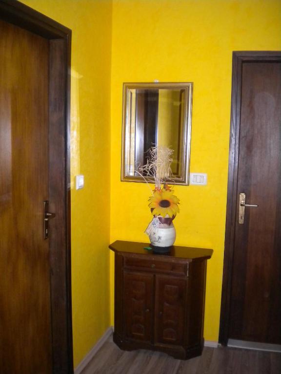 Apartments Tajana Novigrad  Bilik gambar