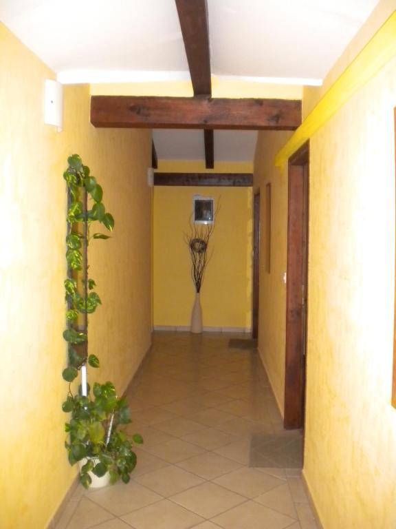 Apartments Tajana Novigrad  Bilik gambar