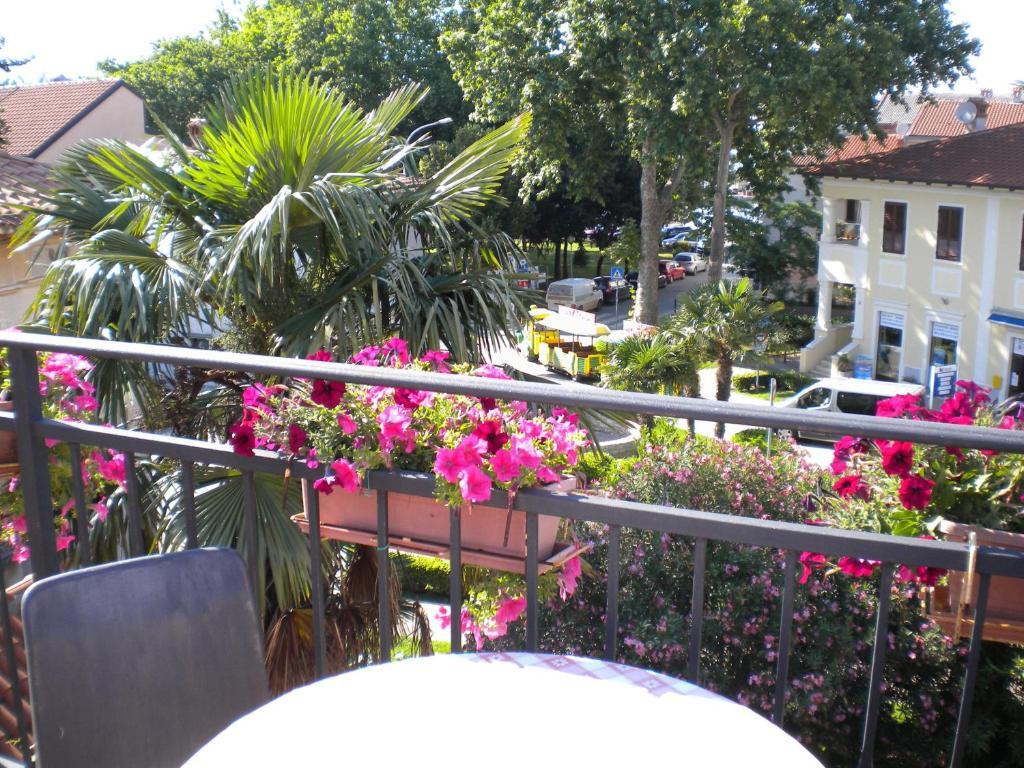 Apartments Tajana Novigrad  Bilik gambar